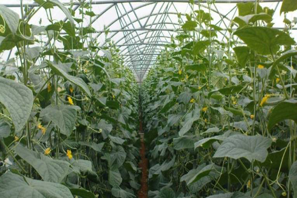 PREDAVANJE „TEHNOLOGIJA UZGOJA KRASTAVACA“