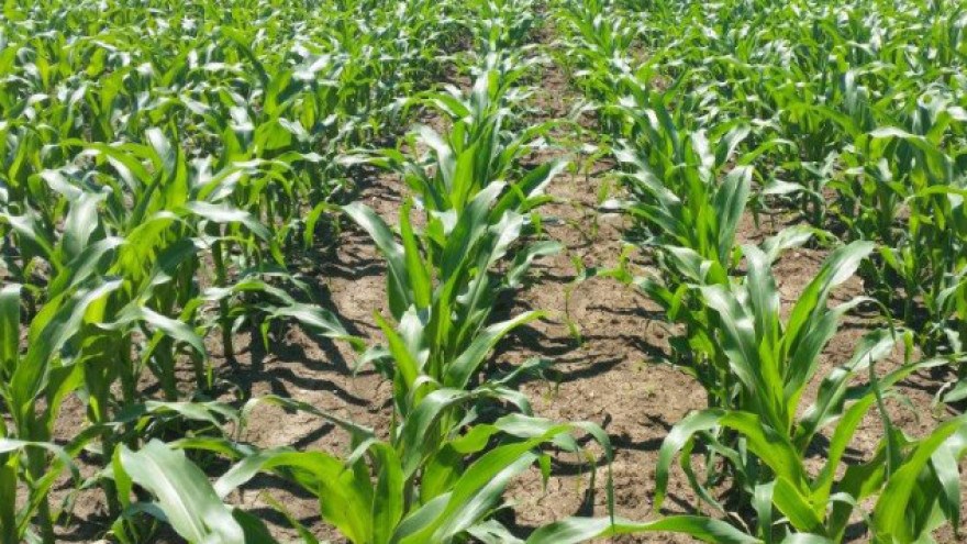 OBAVIJEST POLJOPRIVREDNIM PROIZVOĐAČIMA