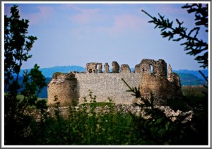 Photo by Nisvet.P